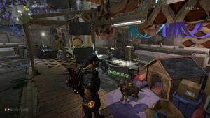 Division 2 - New York Haven Dog