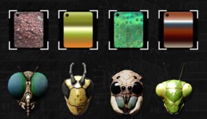 Gage Sniper Pack unlocks